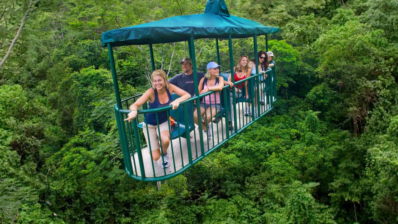 rainforest canopy tour st lucia