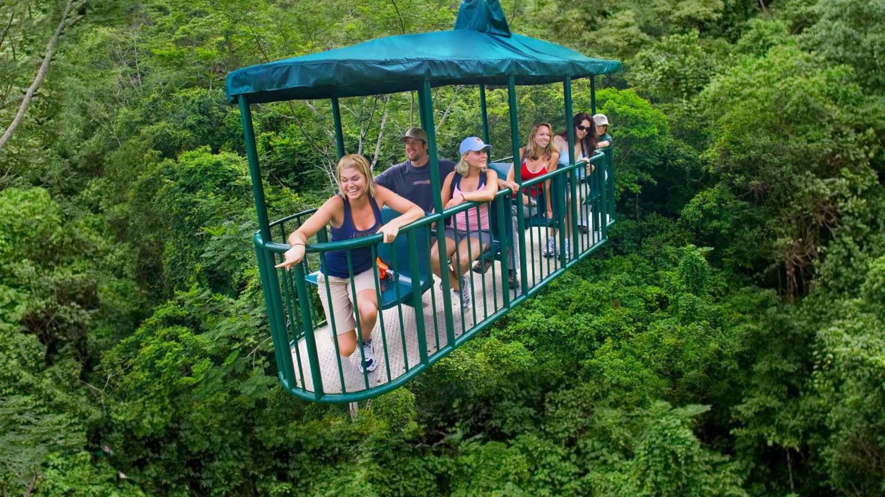 rainforest in St. Lucia