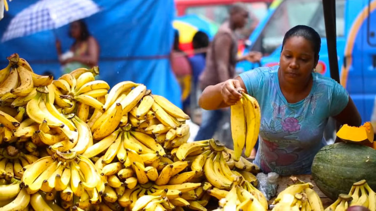 Visit the Castries Market for a Slice of Authentic St. Lucia